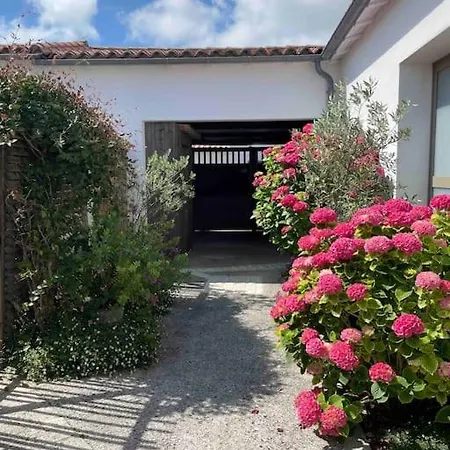 Maison De 00491ui